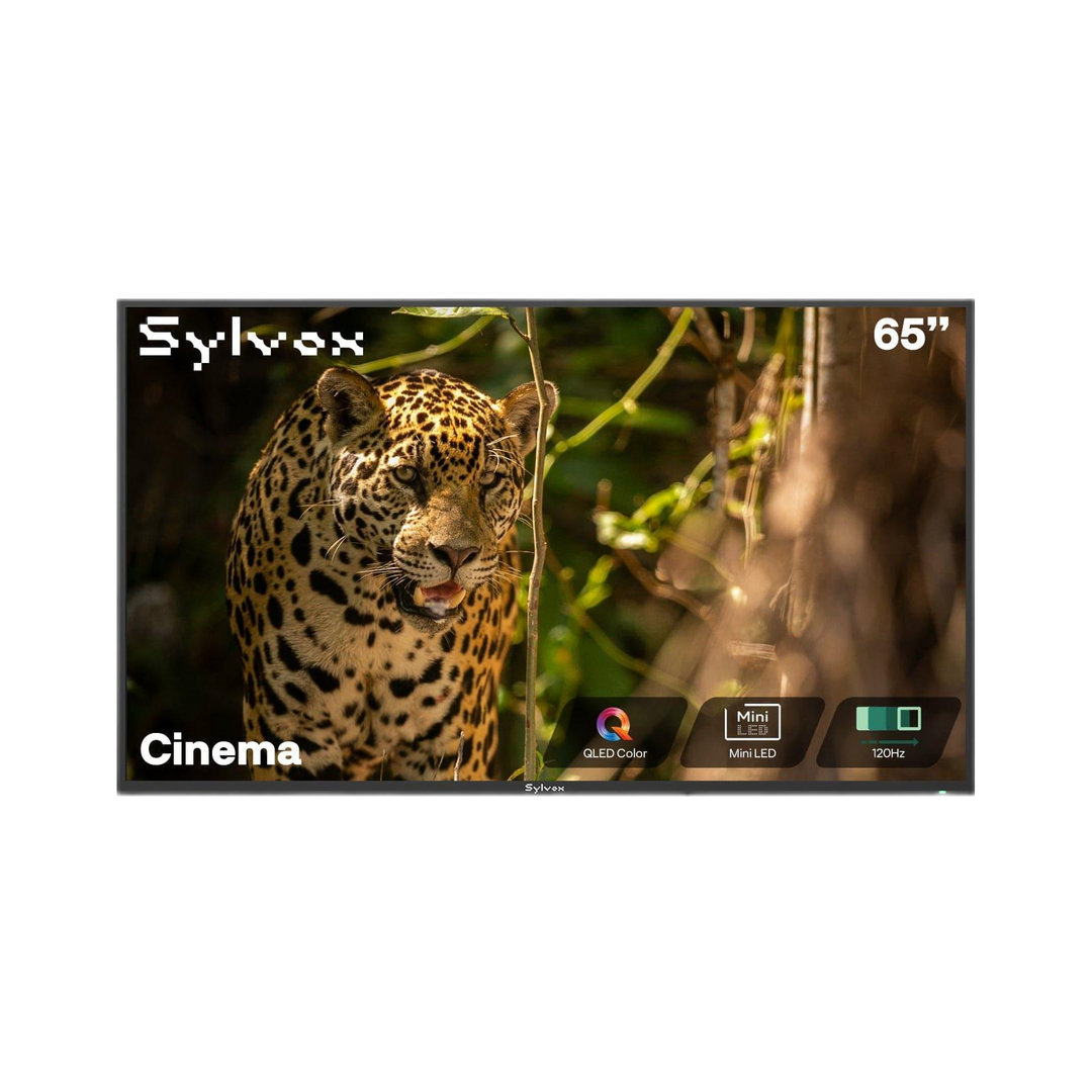 <b>NEW</b> - Sylvox 65'' Cinema Helio QLED 120HZ Outdoor TV (2000Nits)-2025 Model