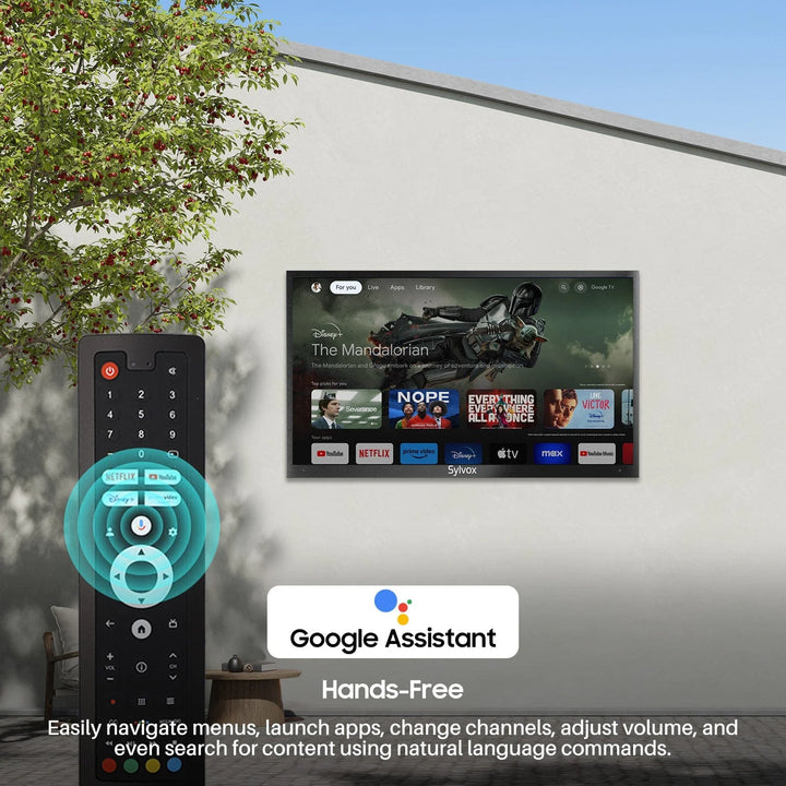  65" Outdoor TV(Google TV)-2024 Deck Pro 2.0