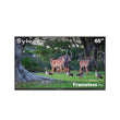 <b>NEW</b> - 65" Outdoor TV (Google TV) - 2026 Frameless Pro Series
