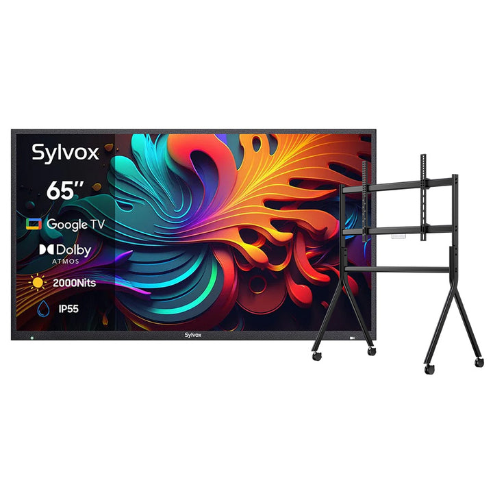 <b>NOUVEAU</b> – Téléviseur extérieur QLED 65 pouces - Google TV (série 2024 Pool Pro QLED 2.0)