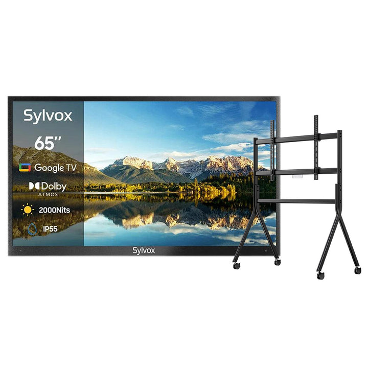 <b>NOUVEAU</b> – Téléviseur extérieur 65 pouces 2 000 nits - Google TV (série 2024 Pool Pro 2.0)