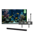 <b>NEW</b> - 75" Outdoor TV (Google TV) - 2026 Frameless Series