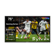 75" Waterproof Outdoor TV-2025 Gaming Series (120HZ)