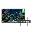 <b>NEW</b> - 75" Outdoor TV (Google TV) - 2026 Frameless Series