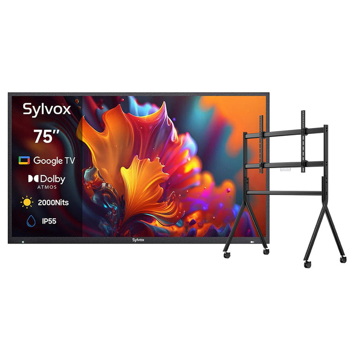 <b>NOUVEAU</b> – Téléviseur extérieur QLED 75 pouces - Google TV (série Pool Pro QLED 2.0 2024)