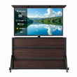 Cabinet de levage pour téléviseur extérieur résistant aux intempéries Sylvox 65''
