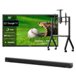 <b>NOUVEAU</b> - Téléviseur extérieur 55 pouces (Google TV) - 2024 Deck Pro 2.0