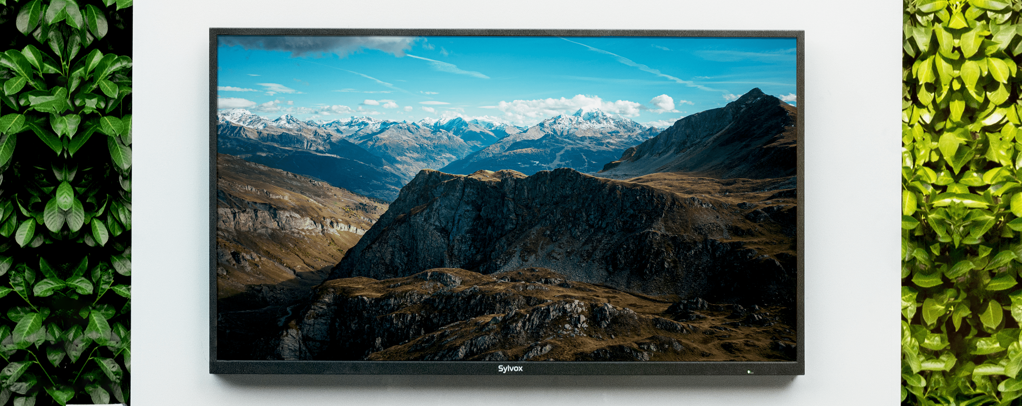 Sylvox deck pro 2.0 Outdoor TV