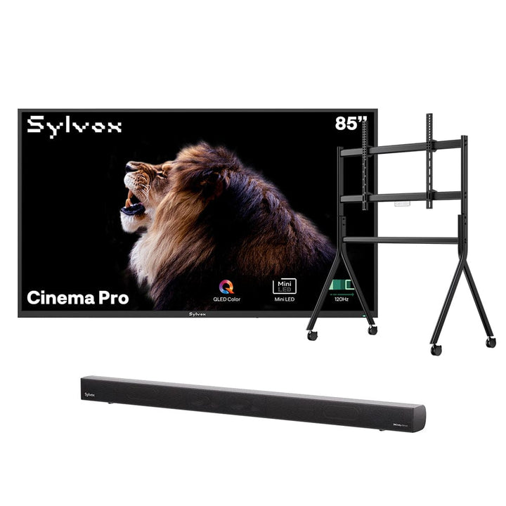 Weatherproof outdoor QLED TV Canada