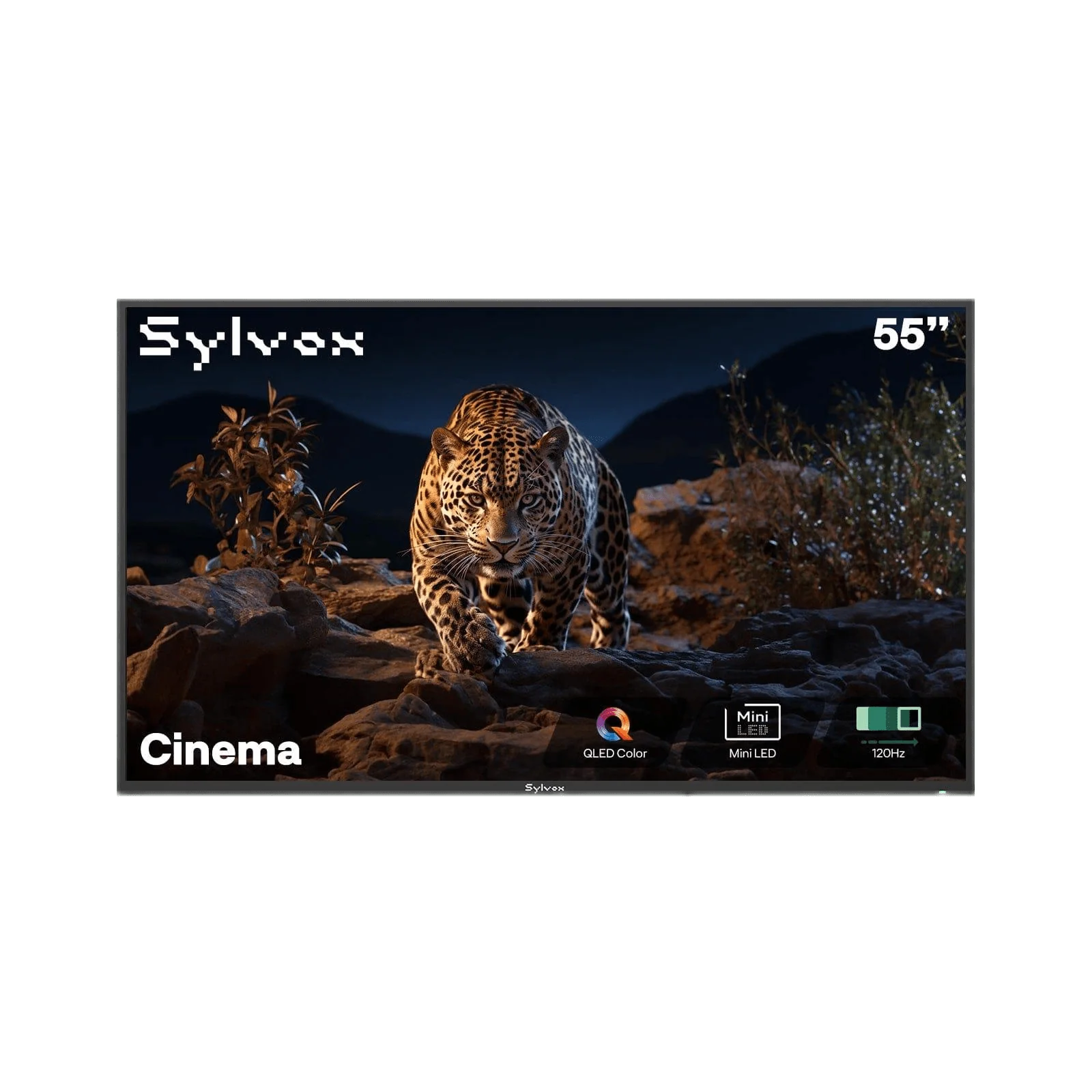 <b>NOUVEAU</b> - Téléviseur extérieur Sylvox Cinema 55