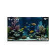 sylvox weatherproof outdoor TV